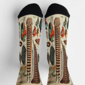 Feather Bird Wildlife Antique Feathers Socken (Oben)