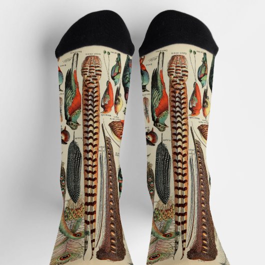 Feather Bird Wildlife Antique Feathers Socken (Oben)