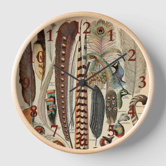 Feather Bird Wildlife Antique Feathers Uhr (Vorderseite)