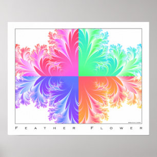 Feather-Blume Poster