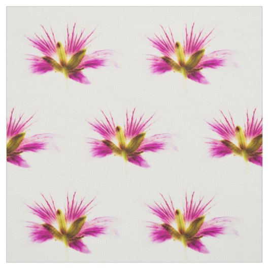 Feather-Blume Stoff (Muster)