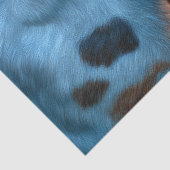 Feather Bridle Western Foal Decoupage Seidenpapier (Ausschnitt)