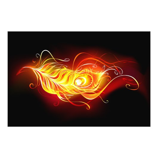 Feather Fotodruck (Vorne)