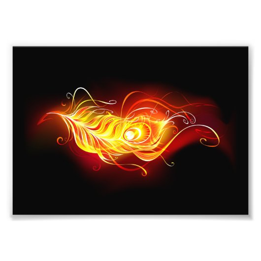 Feather Fotodruck (Vorne)