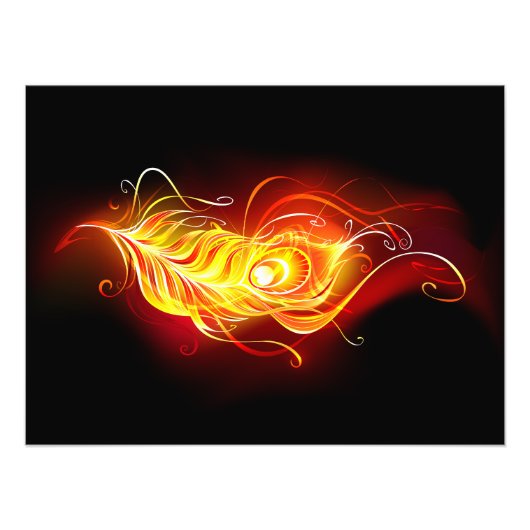 Feather Fotodruck (Vorne)