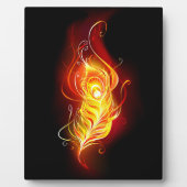 Feather Fotoplatte (Vorderseite)