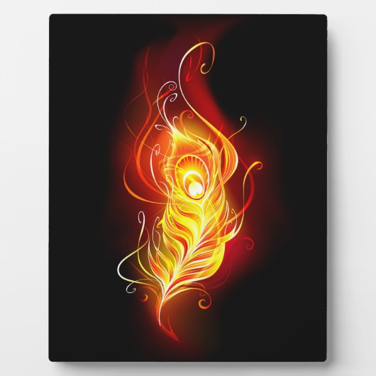 Feather Fotoplatte (Vorderseite)