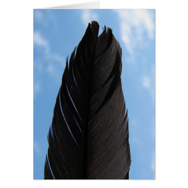 Feather in Sky (Vorne)