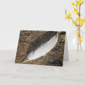 Feather Karte (Gelbe Blume)