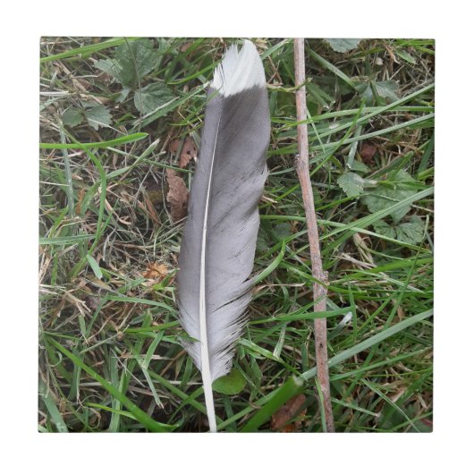 Feather Keramik Tile Fliese (Vorderseite)