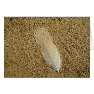 Feather on Sand