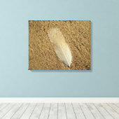 Feather on Sand Leinwanddruck (Insitu (Holzboden))
