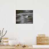 feather on the water poster (Küche)