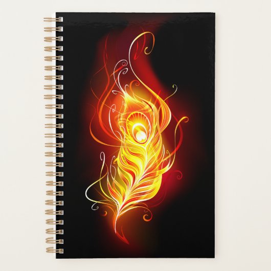 Feather Planer (Vorderseite)