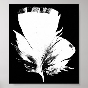 Feather Poster