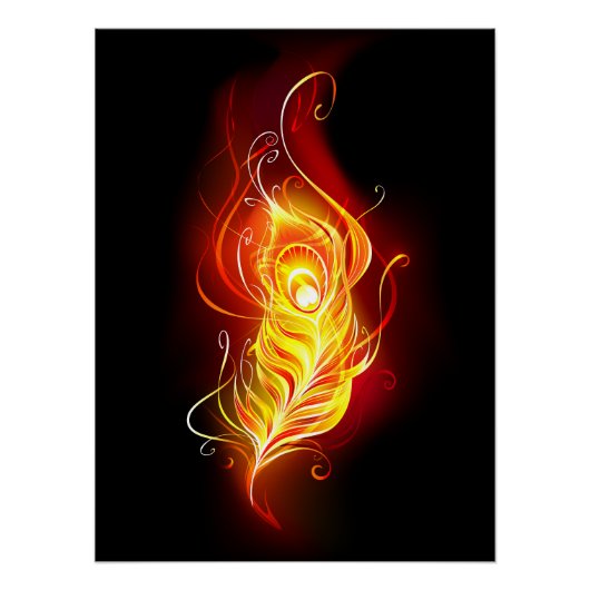 Feather Poster (Vorderseite)