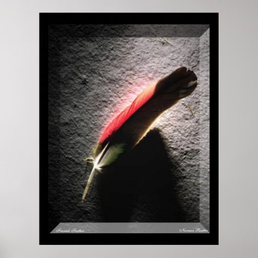 Feather Poster (Vorne)