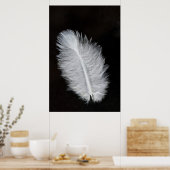 Feather Poster (Küche)