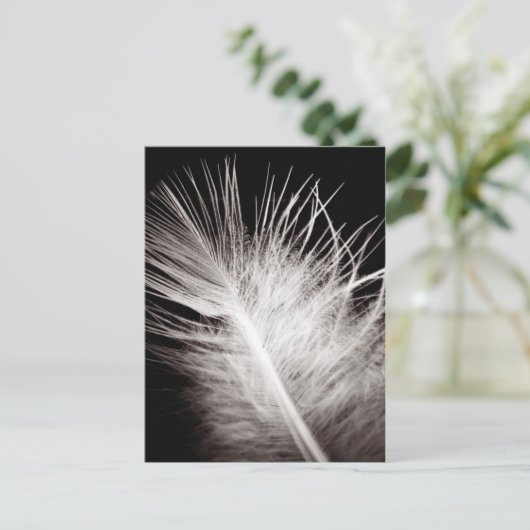 Feather Postkarte (Stehend Vorderseite)