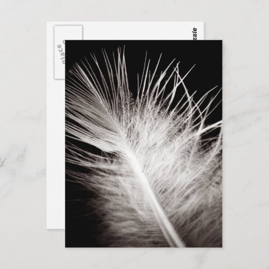 Feather Postkarte (Vorne/Hinten)