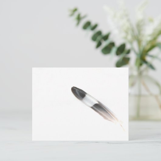 Feather Postkarte (Stehend Vorderseite)