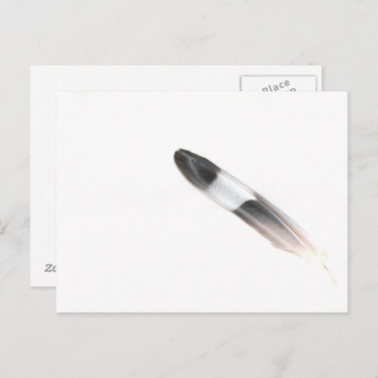 Feather Postkarte (Vorne/Hinten)