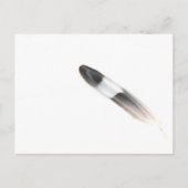 Feather Postkarte (Vorderseite)