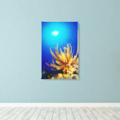 Feather star leinwanddruck (Insitu (Holzboden))
