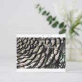 FEATHER TEXTURE POSTKARTE (Stehend Vorderseite)