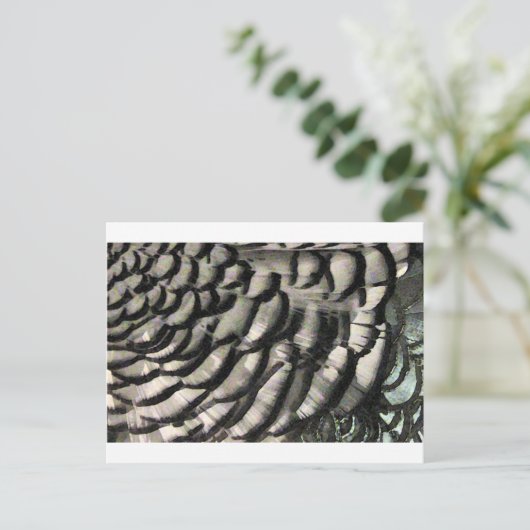 FEATHER TEXTURE POSTKARTE (Stehend Vorderseite)