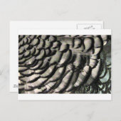 FEATHER TEXTURE POSTKARTE (Vorne/Hinten)