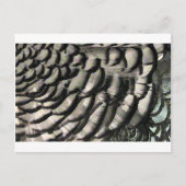 FEATHER TEXTURE POSTKARTE (Vorderseite)