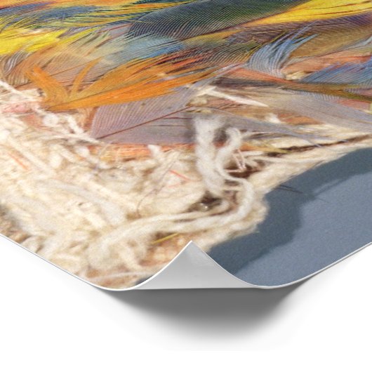 Feathercape Poster (Ecke)