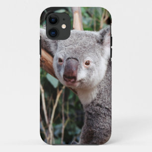 Featherdale Wildlife Park, Koala Bears Case-Mate iPhone Hülle