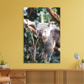 Featherdale Wildlife Park, Koala Bears Leinwanddruck (Insitu (Wohnzimmer))