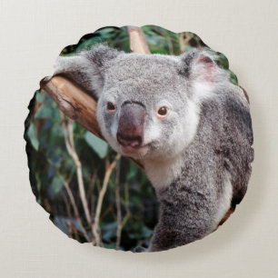 Featherdale Wildlife Park, Koalas Rundes Kissen