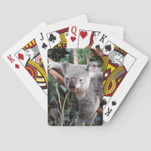 Featherdale Wildlife Park, Koalas Spielkarten