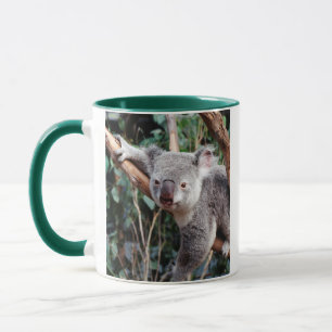 Featherdale Wildlife Park, Koalas Tasse