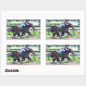 Feathered by Indian Charlie-Receipt Rechteckiger Aufkleber (Blatt)