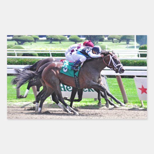 Feathered by Indian Charlie-Receipt Rechteckiger Aufkleber (Vorderseite)