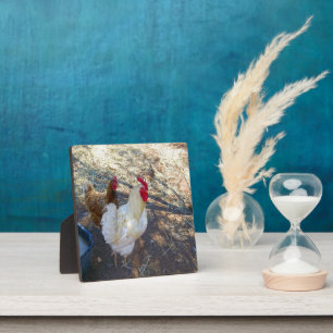 Feathered Companies: White Rooster und Seine Hen Fotoplatte