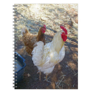 Feathered Companies: White Rooster und Seine Hen Notizblock