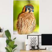 Feathered Ember: The Watchful Kestrel Poster (Heimbüro)