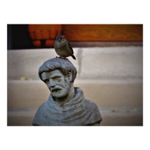 "Feathered Friend of Saint Francis" Fotodruck