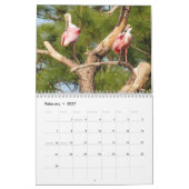 Feathered Friends 2013 Calendar - Encore Edition Kalender (Feb 2027)