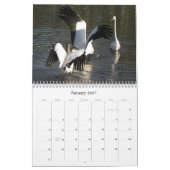 Feathered Friends 2016 (Encore) Kalender (Jan 2027)