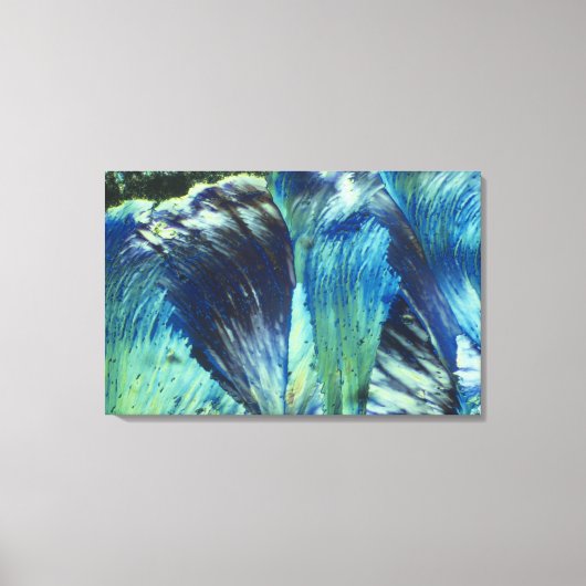 Feathered Leinwanddruck (Vorderseite)