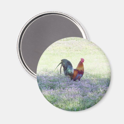 Feathered Pride Magnet (Vorderseite/Rückseite)