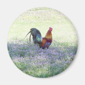 Feathered Pride Magnet (Vorne)