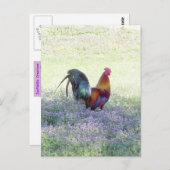 Feathered Pride Postcard Postkarte (Vorne/Hinten)